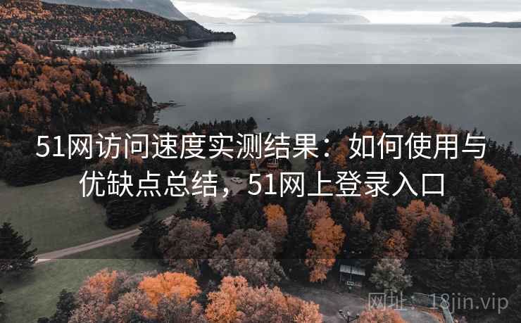 51网访问速度实测结果：如何使用与优缺点总结，51网上登录入口