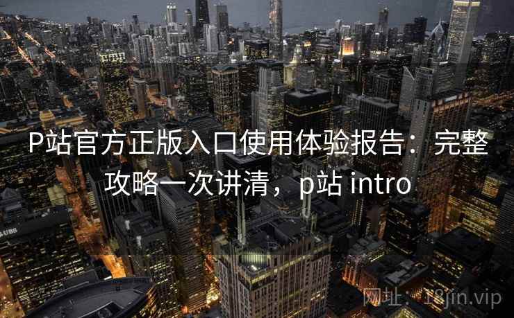 P站官方正版入口使用体验报告：完整攻略一次讲清，p站 intro