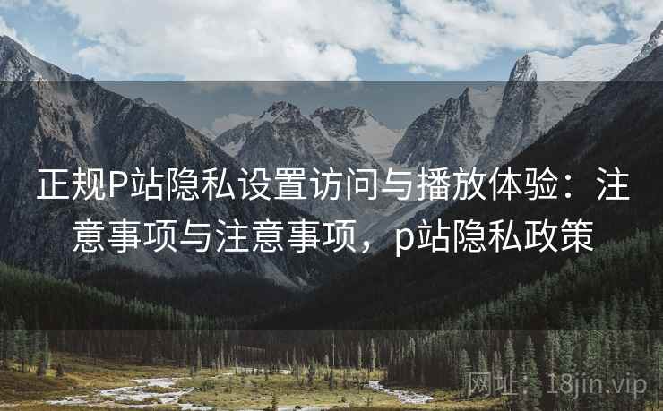 正规P站隐私设置访问与播放体验：注意事项与注意事项，p站隐私政策