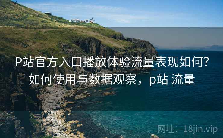 P站官方入口播放体验流量表现如何？如何使用与数据观察，p站 流量