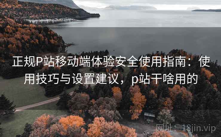 正规P站移动端体验安全使用指南：使用技巧与设置建议，p站干啥用的