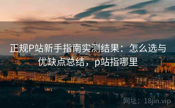 正规P站新手指南实测结果：怎么选与优缺点总结，p站指哪里