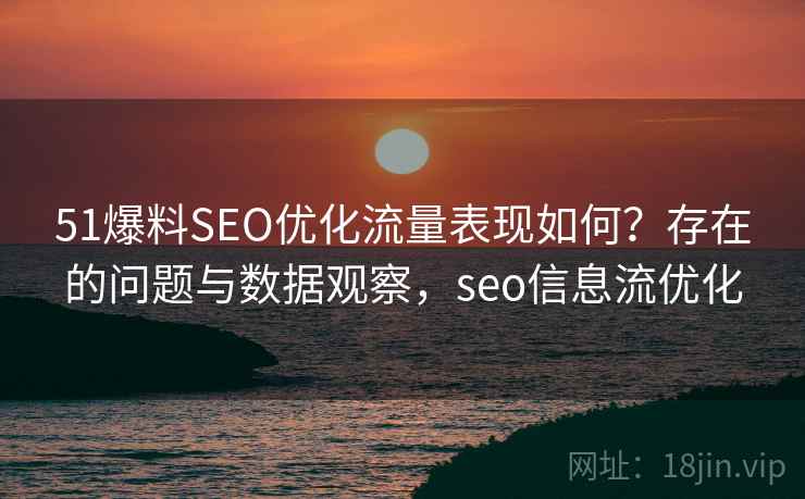 51爆料SEO优化流量表现如何？存在的问题与数据观察，seo信息流优化