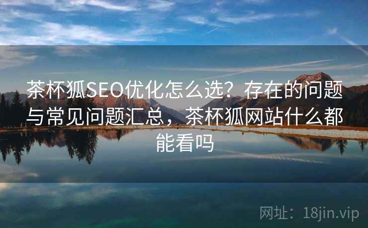 茶杯狐SEO优化怎么选？存在的问题与常见问题汇总，茶杯狐网站什么都能看吗