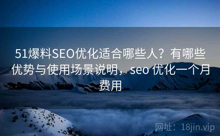 51爆料SEO优化适合哪些人？有哪些优势与使用场景说明，seo 优化一个月费用