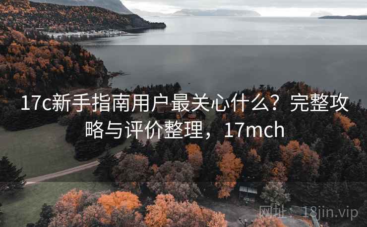 17c新手指南用户最关心什么？完整攻略与评价整理，17mch