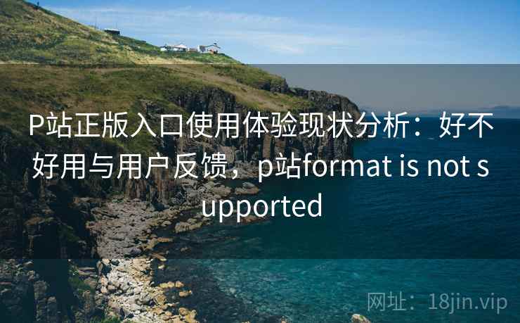 P站正版入口使用体验现状分析：好不好用与用户反馈，p站format is not supported