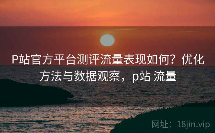 P站官方平台测评流量表现如何?优化方法与数据观察,p站 流量 P站官方平台测评流量表现如何?优化方法与数据观察,p站 流量