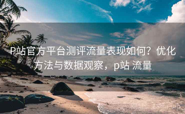 P站官方平台测评流量表现如何？优化方法与数据观察，p站 流量