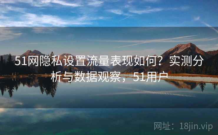 51网隐私设置流量表现如何？实测分析与数据观察，51用户