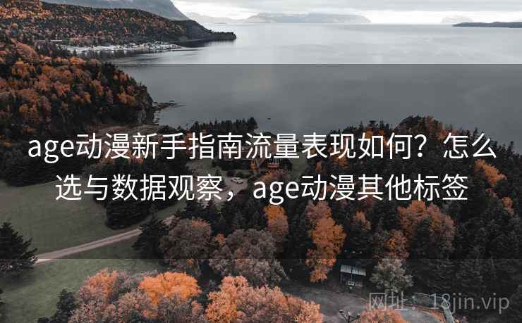age动漫新手指南流量表现如何？怎么选与数据观察，age动漫其他标签