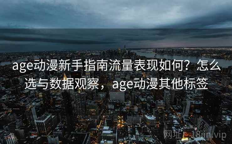 age动漫新手指南流量表现如何？怎么选与数据观察，age动漫其他标签