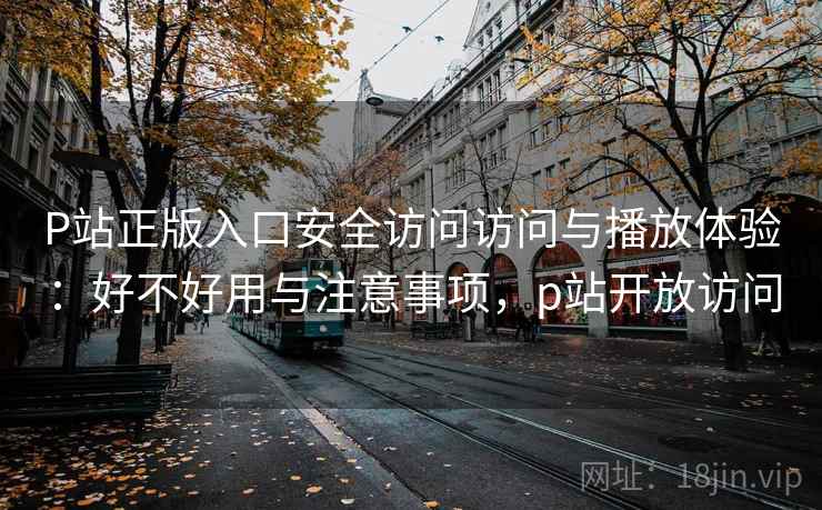 P站正版入口安全访问访问与播放体验：好不好用与注意事项，p站开放访问