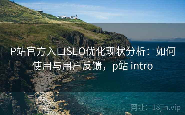P站官方入口SEO优化现状分析：如何使用与用户反馈，p站 intro