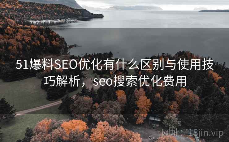 51爆料SEO优化有什么区别与使用技巧解析，seo搜索优化费用