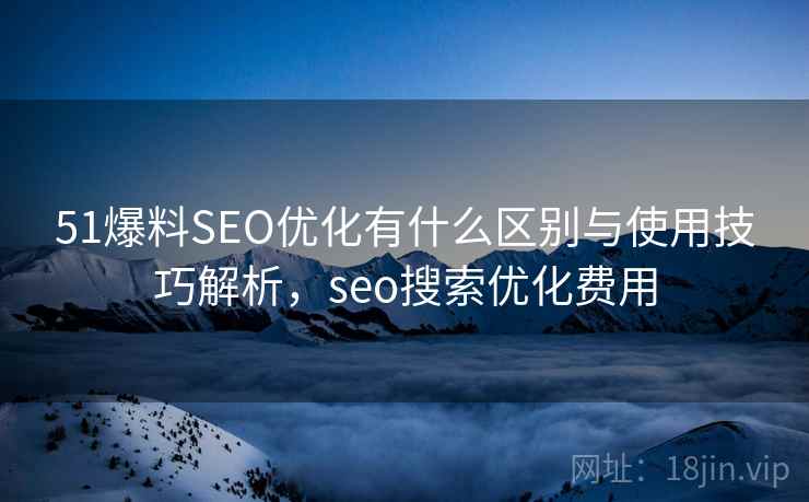51爆料SEO优化有什么区别与使用技巧解析，seo搜索优化费用
