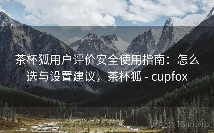 茶杯狐用户评价安全使用指南：怎么选与设置建议，茶杯狐 - cupfox