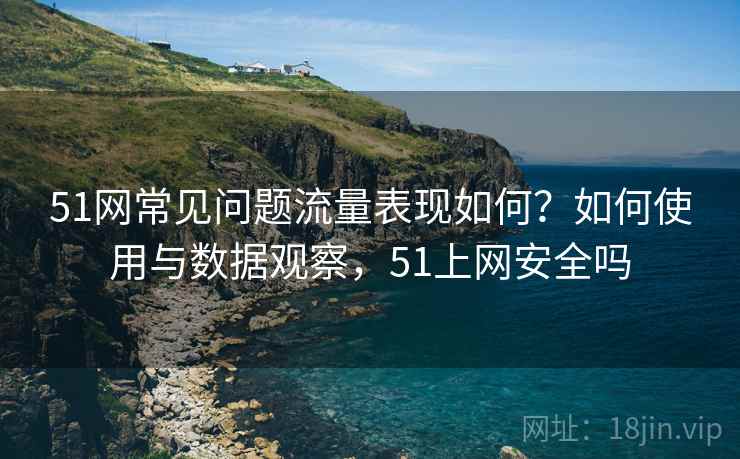 51网常见问题流量表现如何？如何使用与数据观察，51上网安全吗