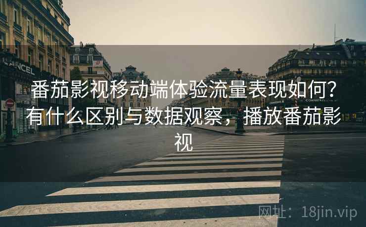 番茄影视移动端体验流量表现如何？有什么区别与数据观察，播放番茄影视