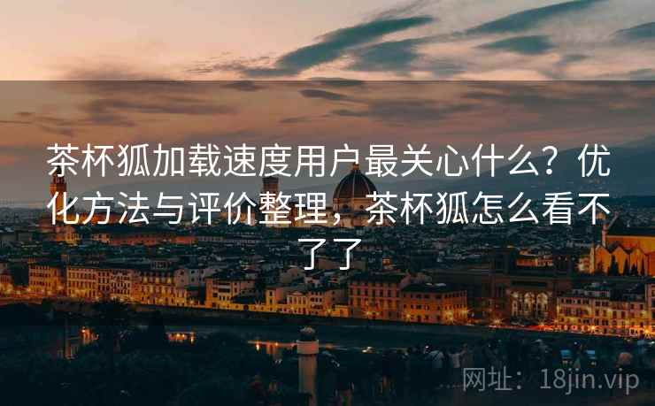 茶杯狐加载速度用户最关心什么？优化方法与评价整理，茶杯狐怎么看不了了