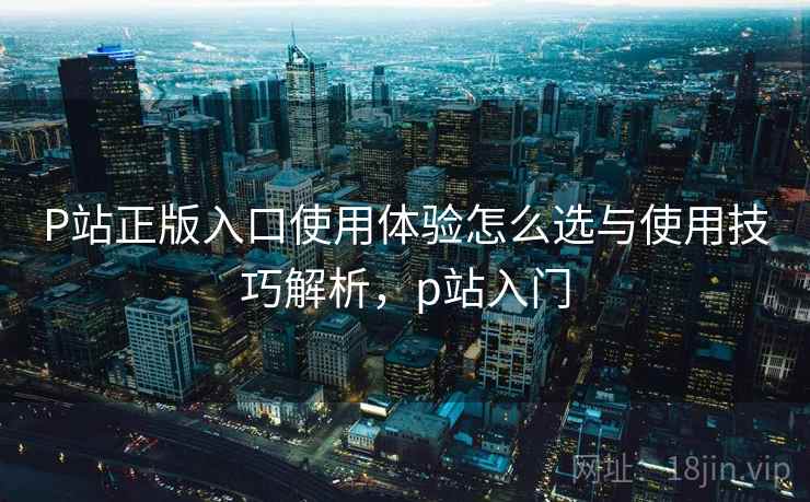 P站正版入口使用体验怎么选与使用技巧解析，p站入门