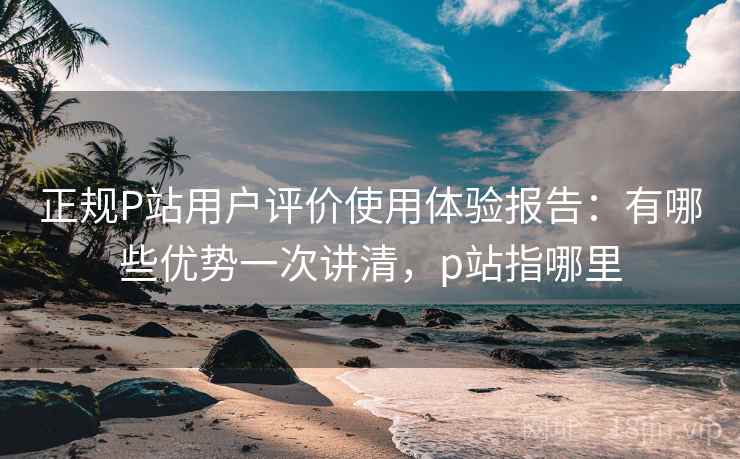 正规P站用户评价使用体验报告：有哪些优势一次讲清，p站指哪里