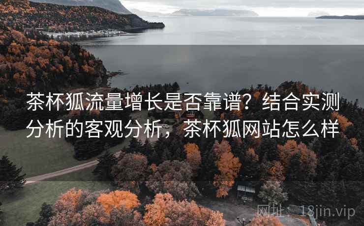 茶杯狐流量增长是否靠谱？结合实测分析的客观分析，茶杯狐网站怎么样