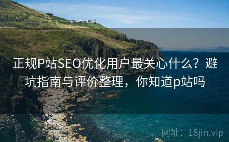 正规P站SEO优化用户最关心什么？避坑指南与评价整理，你知道p站吗