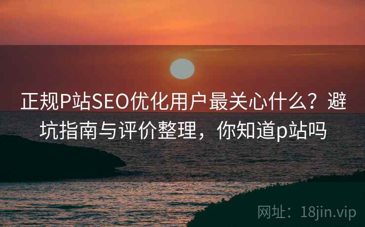 正规P站SEO优化用户最关心什么？避坑指南与评价整理，你知道p站吗