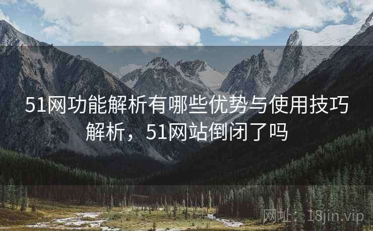 51网功能解析有哪些优势与使用技巧解析，51网站倒闭了吗