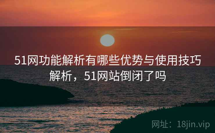 51网功能解析有哪些优势与使用技巧解析，51网站倒闭了吗