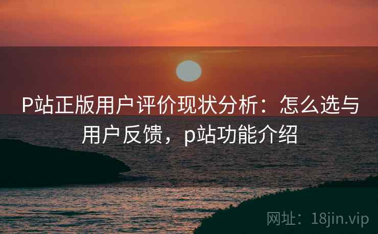P站正版用户评价现状分析：怎么选与用户反馈，p站功能介绍