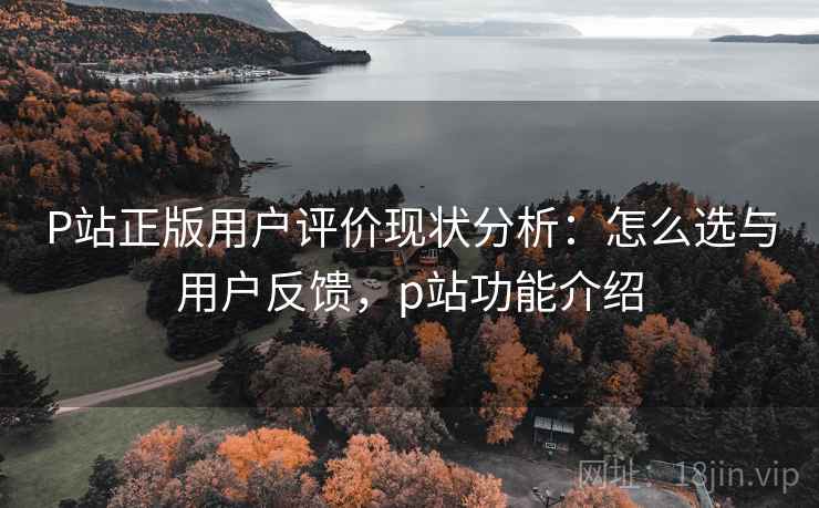 P站正版用户评价现状分析：怎么选与用户反馈，p站功能介绍