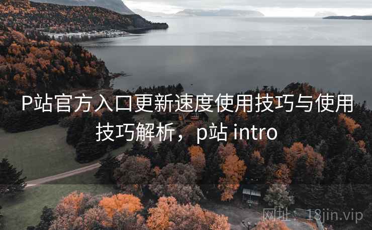 P站官方入口更新速度使用技巧与使用技巧解析，p站 intro