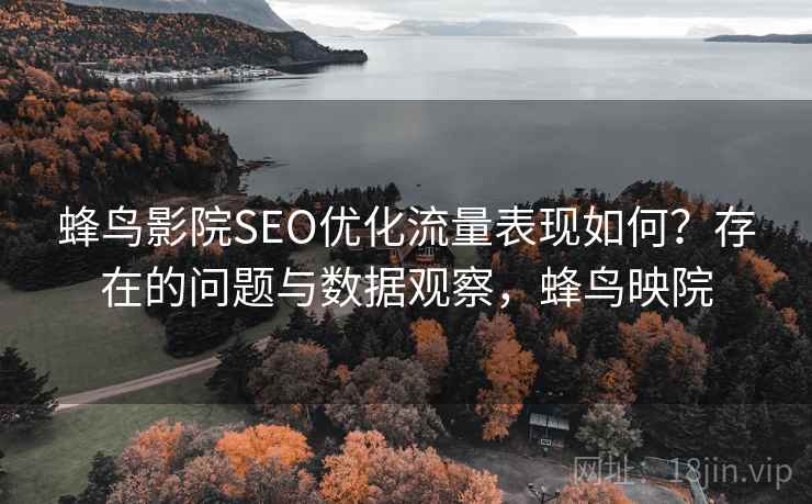 蜂鸟影院SEO优化流量表现如何？存在的问题与数据观察，蜂鸟映院