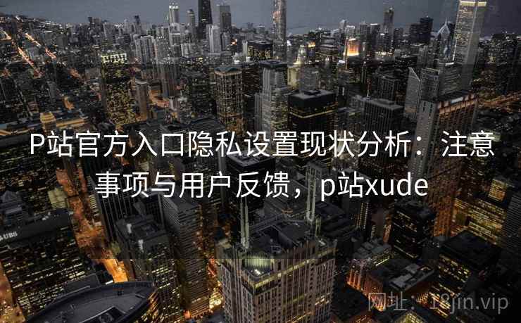 P站官方入口隐私设置现状分析：注意事项与用户反馈，p站xude