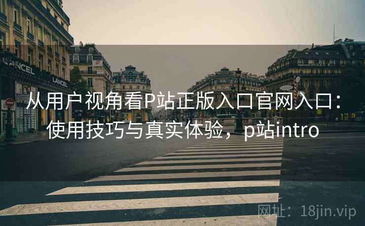 从用户视角看P站正版入口官网入口：使用技巧与真实体验，p站intro