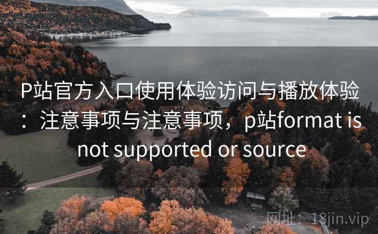 P站官方入口使用体验访问与播放体验：注意事项与注意事项，p站format is not supported or source