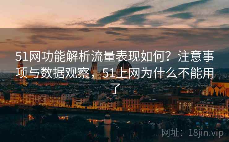51网功能解析流量表现如何？注意事项与数据观察，51上网为什么不能用了