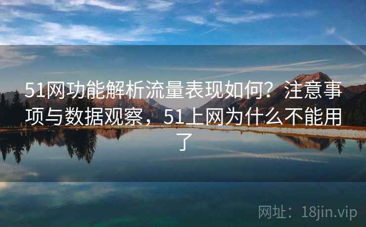 51网功能解析流量表现如何？注意事项与数据观察，51上网为什么不能用了