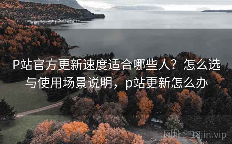 P站官方更新速度适合哪些人？怎么选与使用场景说明，p站更新怎么办