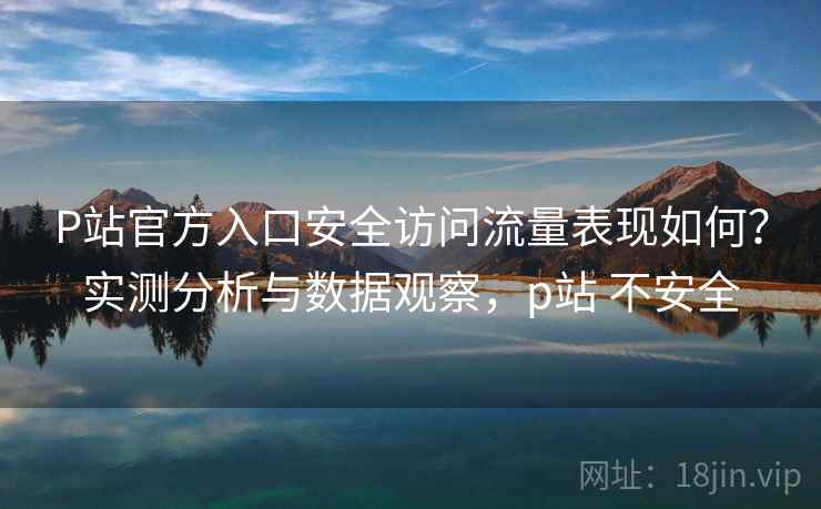 P站官方入口安全访问流量表现如何？实测分析与数据观察，p站 不安全
