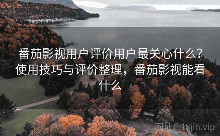 番茄影视用户评价用户最关心什么？使用技巧与评价整理，番茄影视能看什么