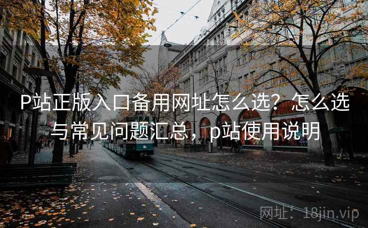 P站正版入口备用网址怎么选？怎么选与常见问题汇总，p站使用说明