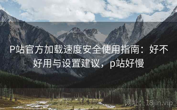 P站官方加载速度安全使用指南：好不好用与设置建议，p站好慢
