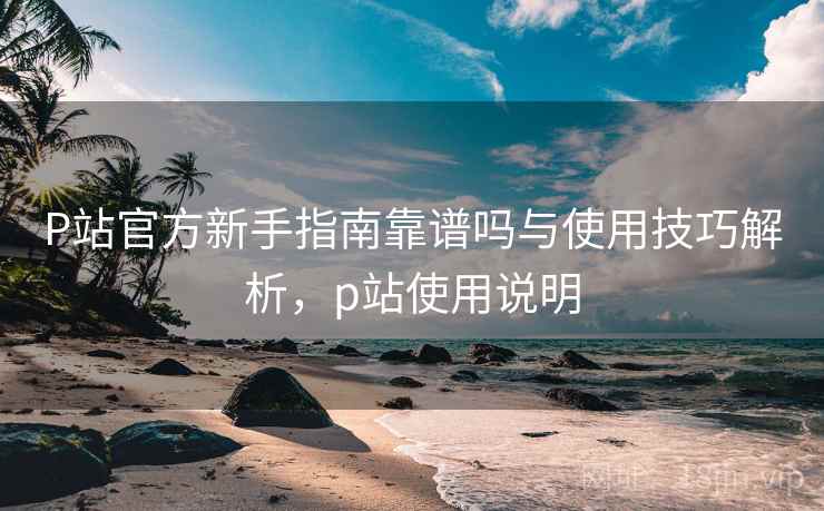 P站官方新手指南靠谱吗与使用技巧解析，p站使用说明