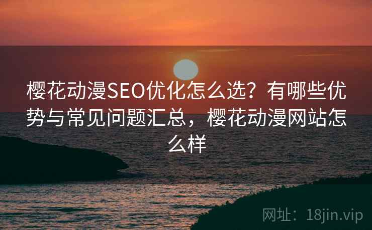 樱花动漫SEO优化怎么选？有哪些优势与常见问题汇总，樱花动漫网站怎么样