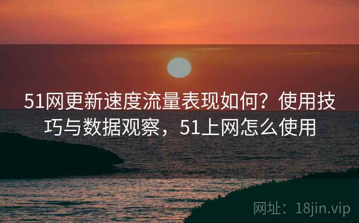 51网更新速度流量表现如何？使用技巧与数据观察，51上网怎么使用