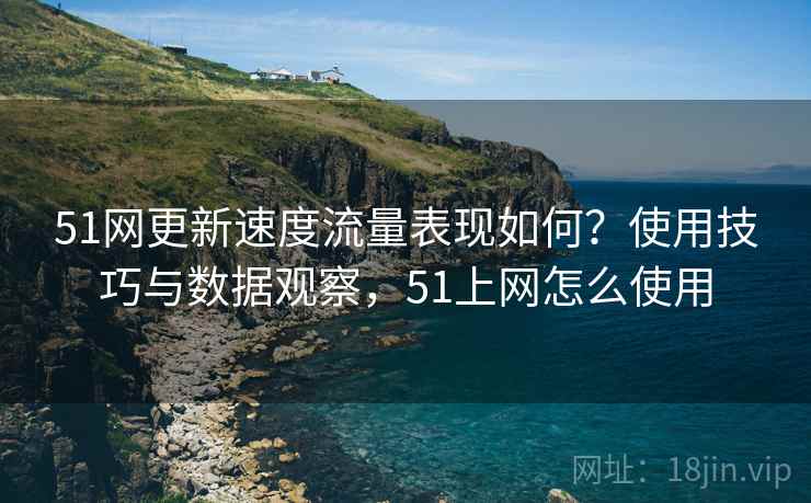 51网更新速度流量表现如何？使用技巧与数据观察，51上网怎么使用