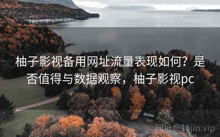 柚子影视备用网址流量表现如何？是否值得与数据观察，柚子影视pc